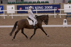 Lusitano Breed Society of Great Britain Show - Hartpury College - 27th June 2009